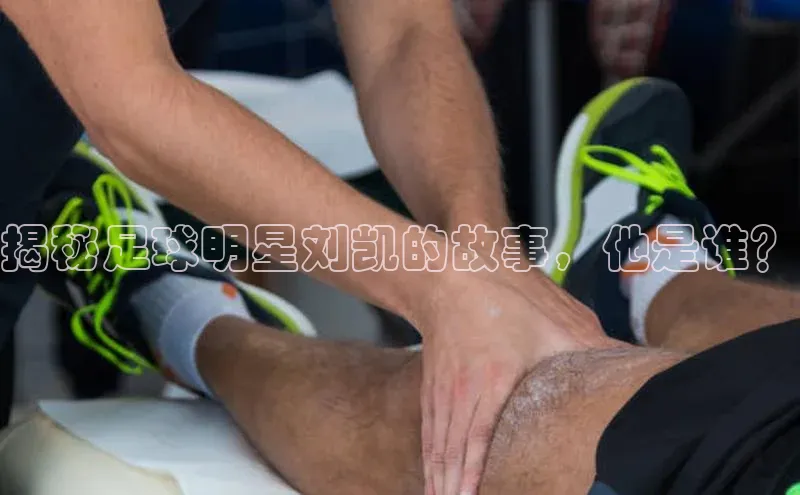 新宝gg平台注册官网百度学术揭秘足球明星刘凯的故事，他是谁？