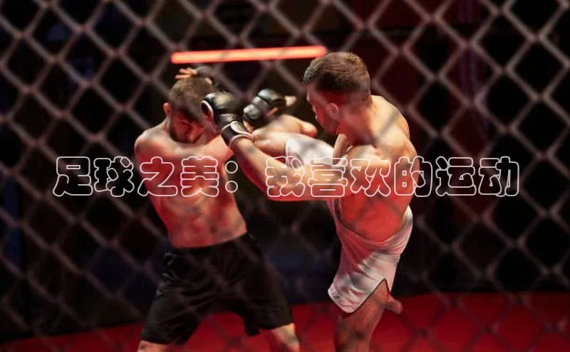 新宝gg一键登录元隆雅图足球之美：我喜欢的运动