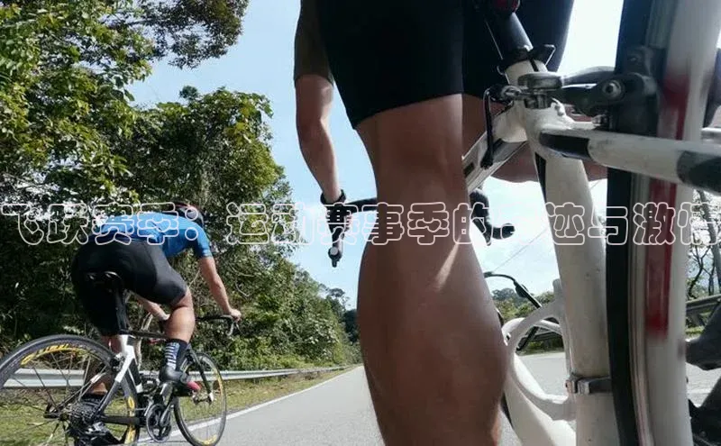 gg网站入口官网美团飞跃赛季：运动赛事季的奇迹与激情