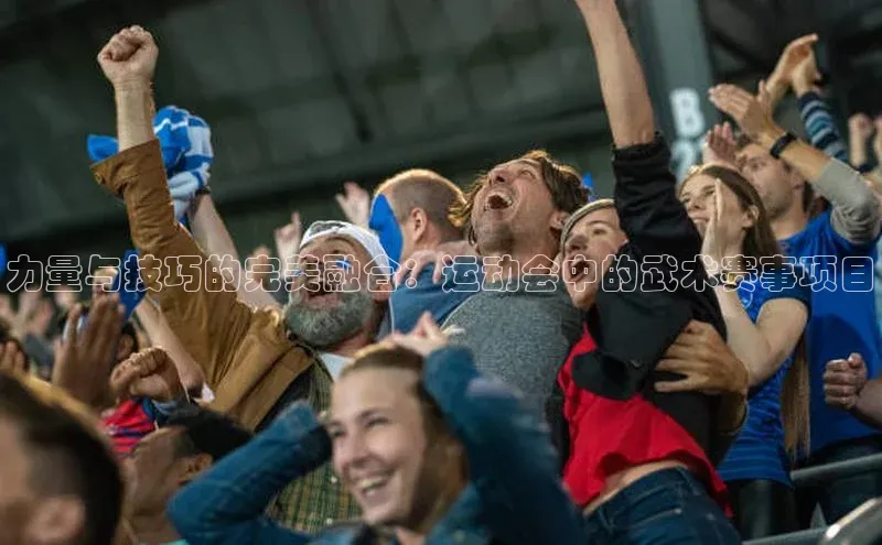 力量与技巧的完美融合：运动会中的武术赛事项目