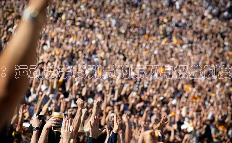 ：运动赛事裁判员的薪酬与权益制度