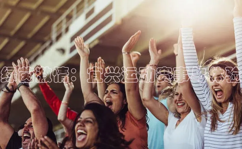 绿茵激情：宜兴运动赛事与体验