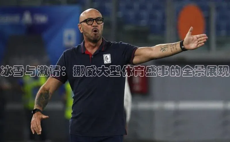 冰雪与激情：挪威大型体育盛事的全景展现