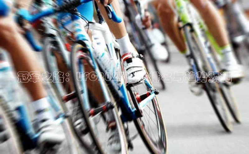 冠军之路：UFC2023比赛排名与趋势预测