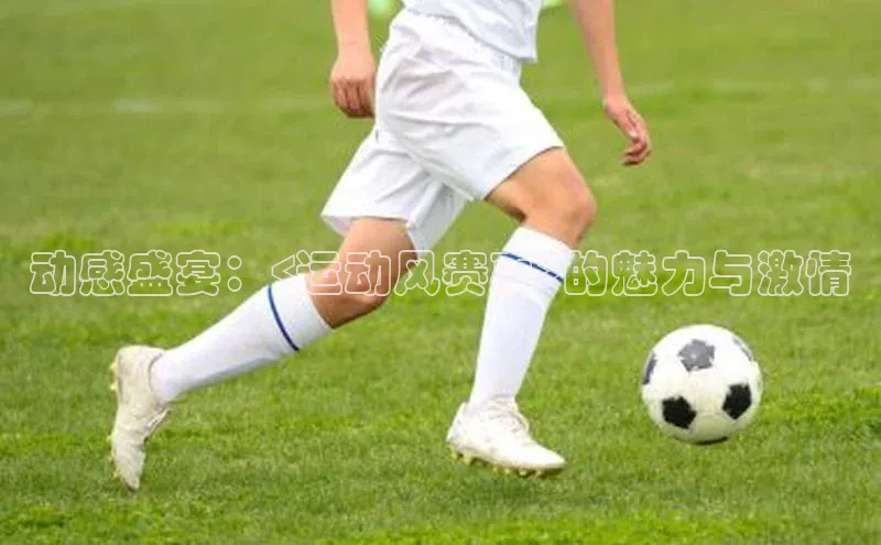 动感盛宴：<运动风赛事>的魅力与激情