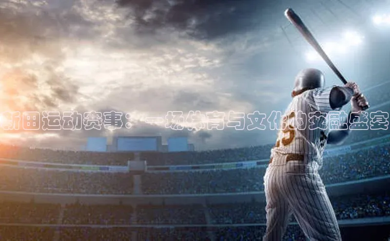 新田运动赛事：一场体育与文化的交融盛宴