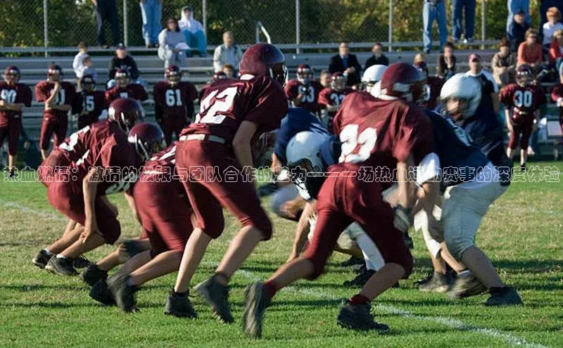 热血燃情：激情的极限与团队合作的魅力——一场热血运动赛事的深度体验