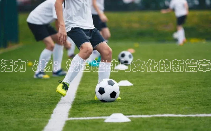 活力飞扬：校园运动与文化的新篇章