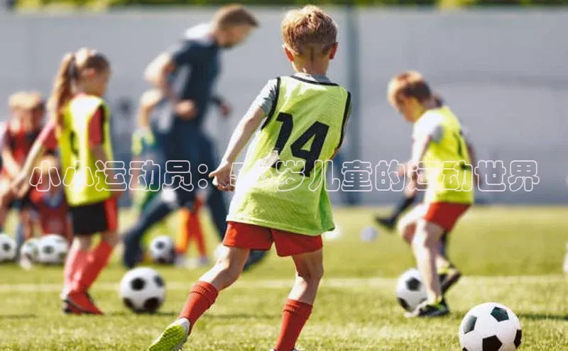 新宝gg官网登录地址