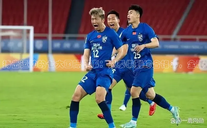 搏击运动的七大国际赛事：从泰拳到综合格斗，全面