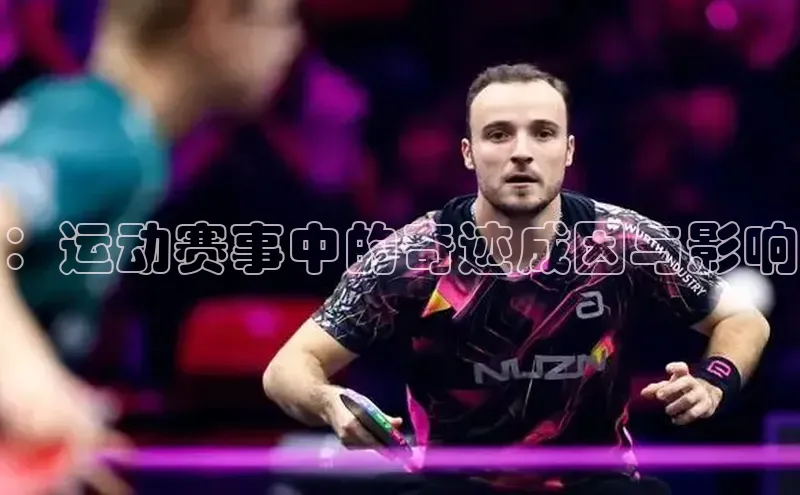 新宝gg官网登录