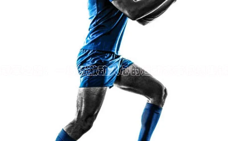 新宝gg一键登录