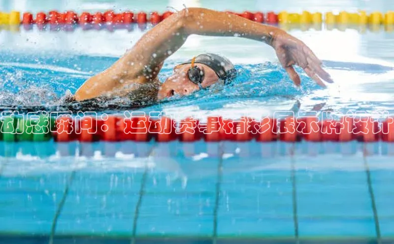 新宝网站登录入口